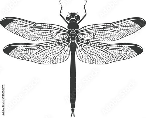 Silhouette Dragonfly black color only full body © NikahGeh