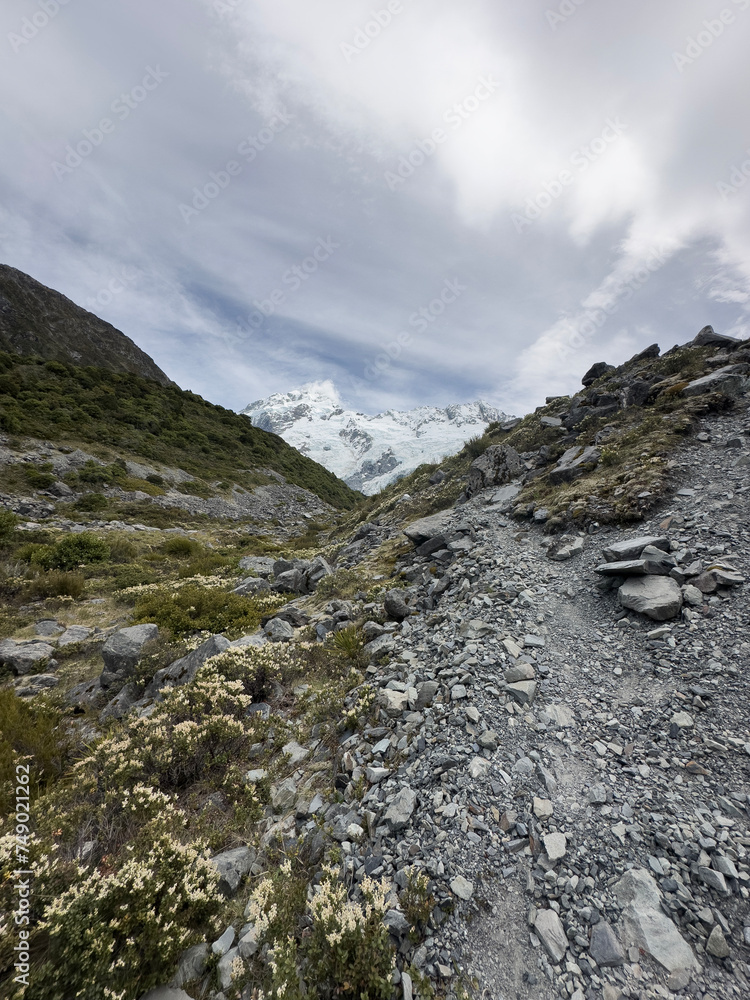 Wilderness, Mt Cook National Park, New Zealand Wilderness, Mt Cook National Park, New Zealand