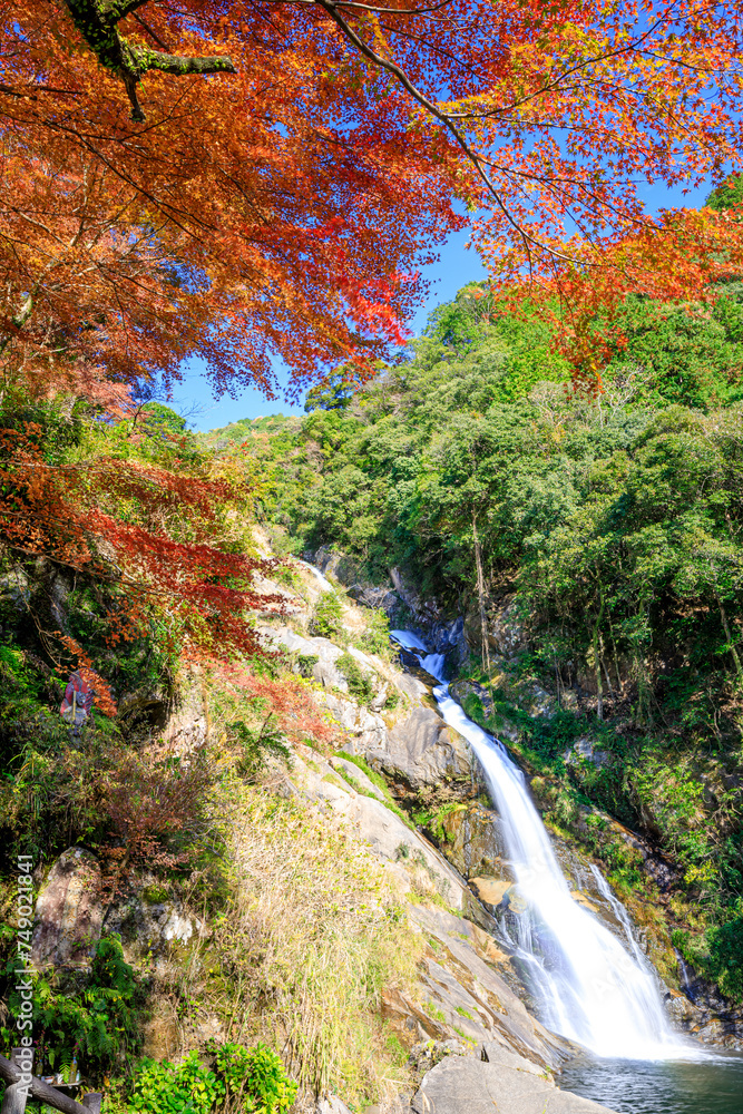 秋の見帰りの滝 佐賀県唐津市 Autumn Mikaeri Waterfall. Saga Pref, Karatsu City. 秋の見帰りの滝 佐賀県唐津市 Autumn Mikaeri Waterfall. Saga Pref, Karatsu City.