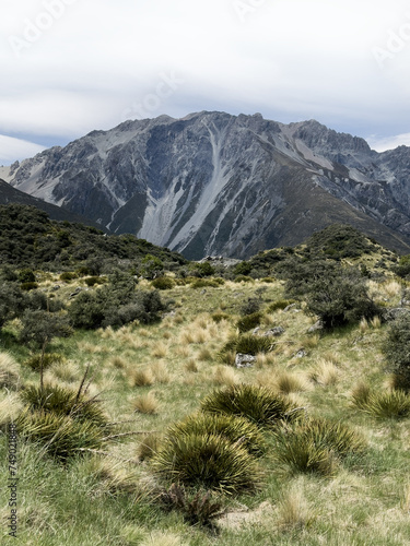 Wilderness, Mt Cook National Park, New Zealand