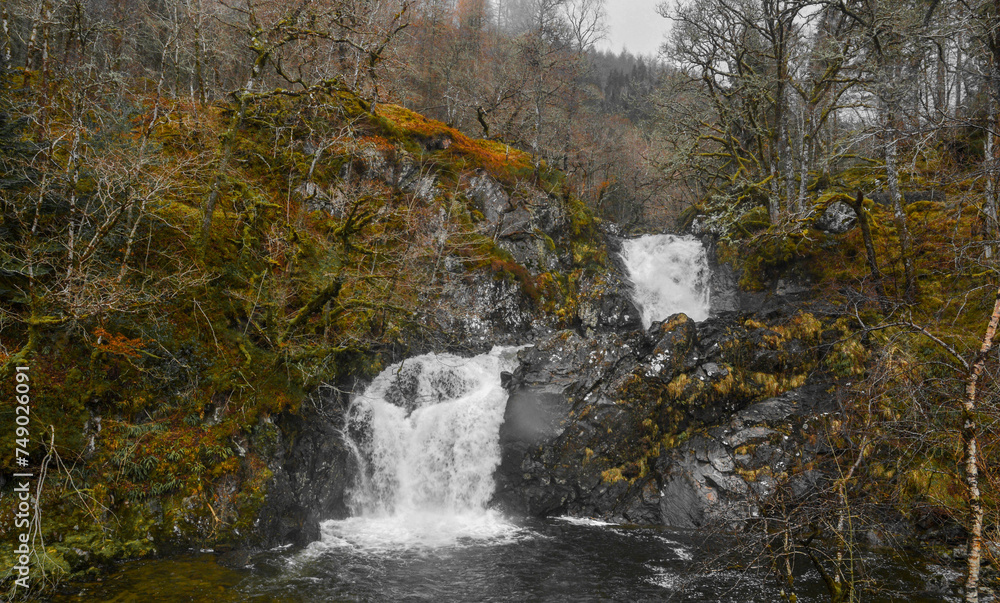 waterfall in the forest