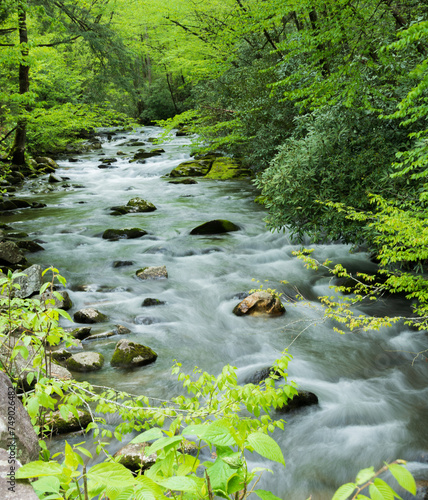 Oconaluftee river cascading over rocks in the Great Smoky Mountains National Park photo