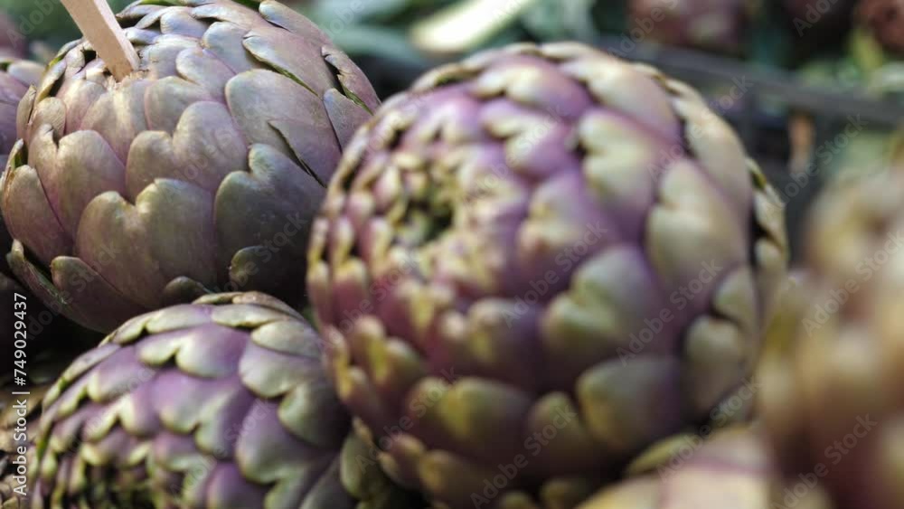 Artichokes in Detail: Freshness at Its Best Artichokes in Detail: Freshness at Its Best