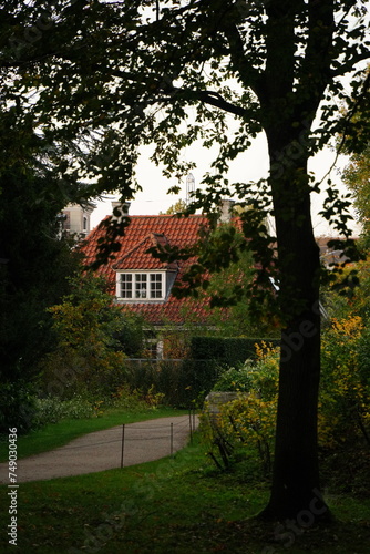 Vibrant and tranquil nature in Denmark