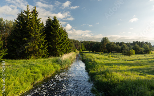 Obraz na płótnie A river flowing among fields and forests in spring Podlasie w salonie