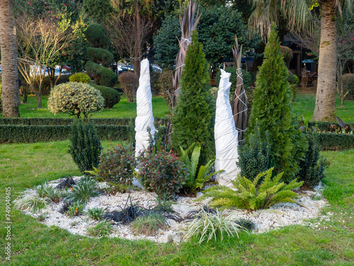 Bushes covered with fabric in the park for the winter. Protection of trees and plants. Gardening. Modern park in the south in winter.