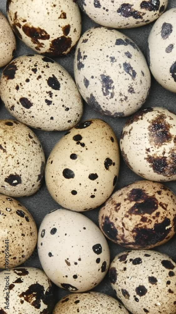 Rotating Quail Eggs On A Black Plate On A Black Background. Top View. Close Up. Vertical. Rotating Quail Eggs On A Black Plate On A Black Background. Top View. Close Up. Vertical.