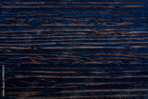 Wenge wood texture. Scientific name is millettia laurentii photo