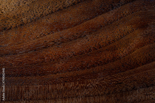Walnut wood texture. Its scientific name is juglans nigra photo