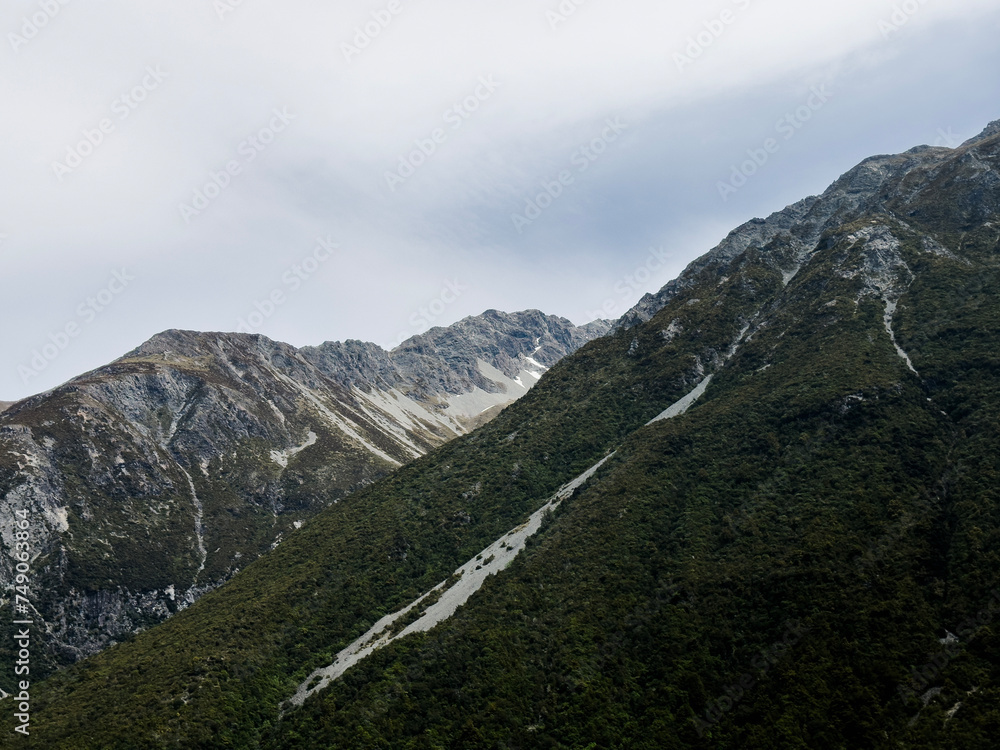 Detail, Mount Cook National Park, New Zealand