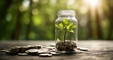  Growth amidst change - A seedling in a jar of coins