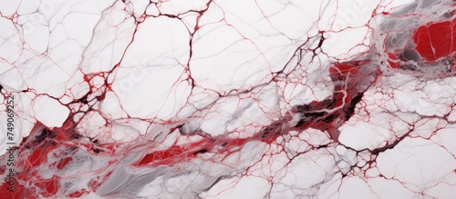 This detailed close-up showcases a red and white marble surface, featuring a marble slab with bright red veins intertwining with grey and white marble. The vitrified tiles create a random design that
