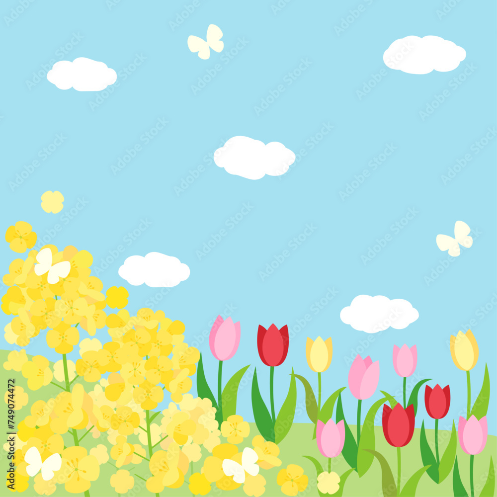 菜の花とチューリップと青空の春の丘のカード　アスペクト比1：1バージョン