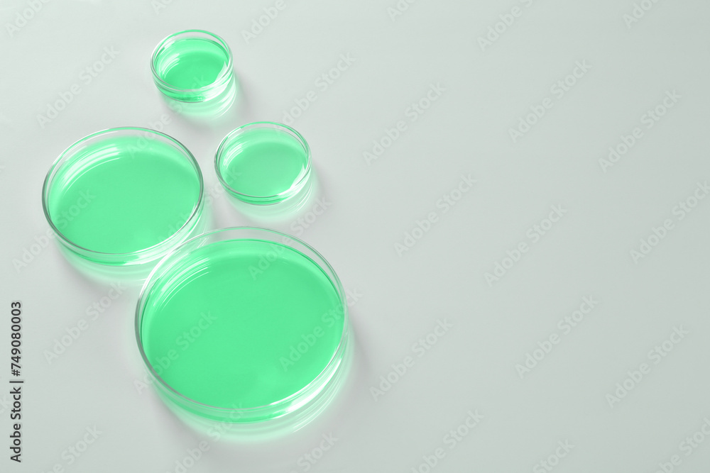 Petri dishes with green liquid on white table, space for text. Laboratory glassware Petri dishes with green liquid on white table, space for text. Laboratory glassware