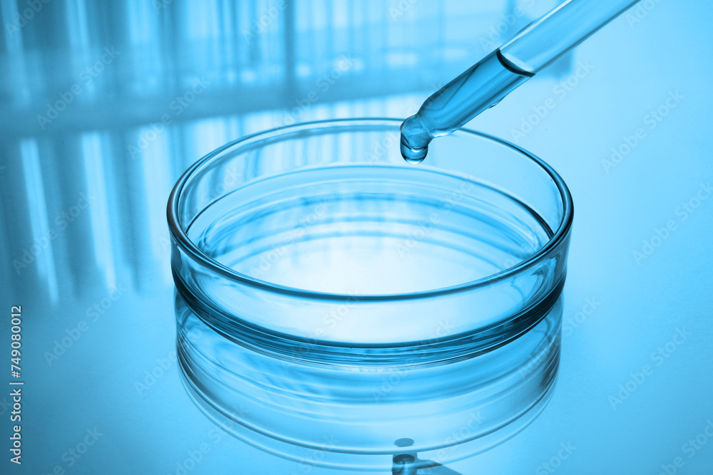 Dropping reagent into Petri dish with liquid on table, toned in blue. Laboratory glassware Dropping reagent into Petri dish with liquid on table, toned in blue. Laboratory glassware