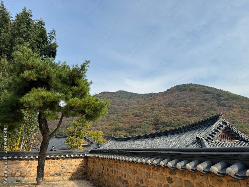 Fototapeta premium korean architecture
