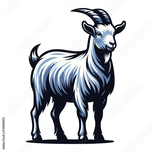 Goat full body vector illustration, farm pet, animal livestock, for butchery meat shop and dairy milk product, design template isolated on white background