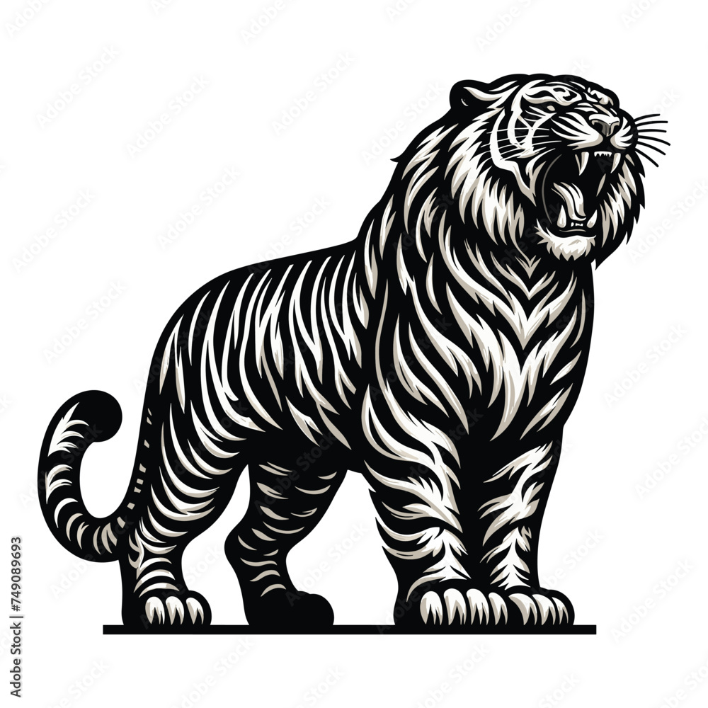 Wild roaring white tiger full body vector illustration, zoology illustration, animal predator big cat design template isolated on white background