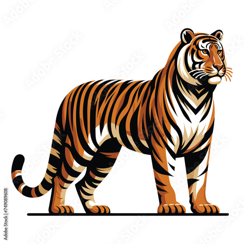 Wild tiger full body vector illustration  zoology illustration  animal predator big cat design template isolated on white background