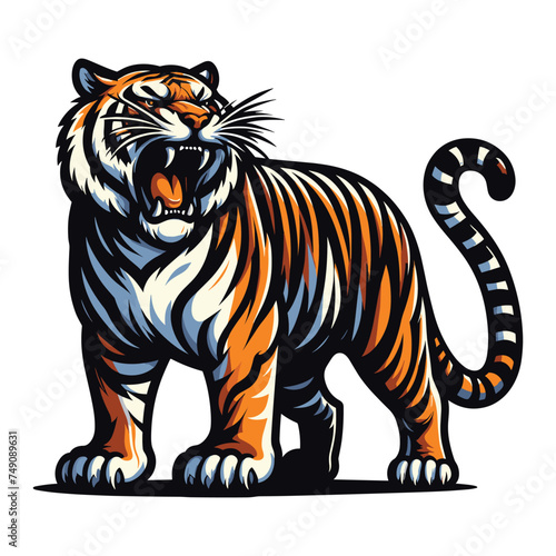 Wild roaring tiger full body vector illustration, zoology illustration, animal predator big cat design template isolated on white background © lartestudio
