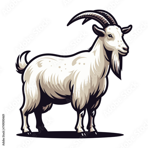 Goat full body vector illustration, farm pet, animal livestock, for butchery meat shop and dairy milk product, design template isolated on white background