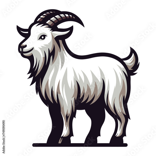 Goat full body vector illustration, farm pet, animal livestock, for butchery meat shop and dairy milk product, design template isolated on white background