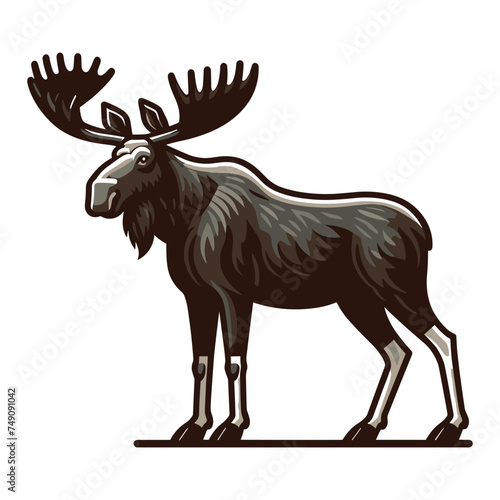 Moose buck elk full body vector illustration, zoology illustration, wild animal moose design template isolated on white background © lartestudio