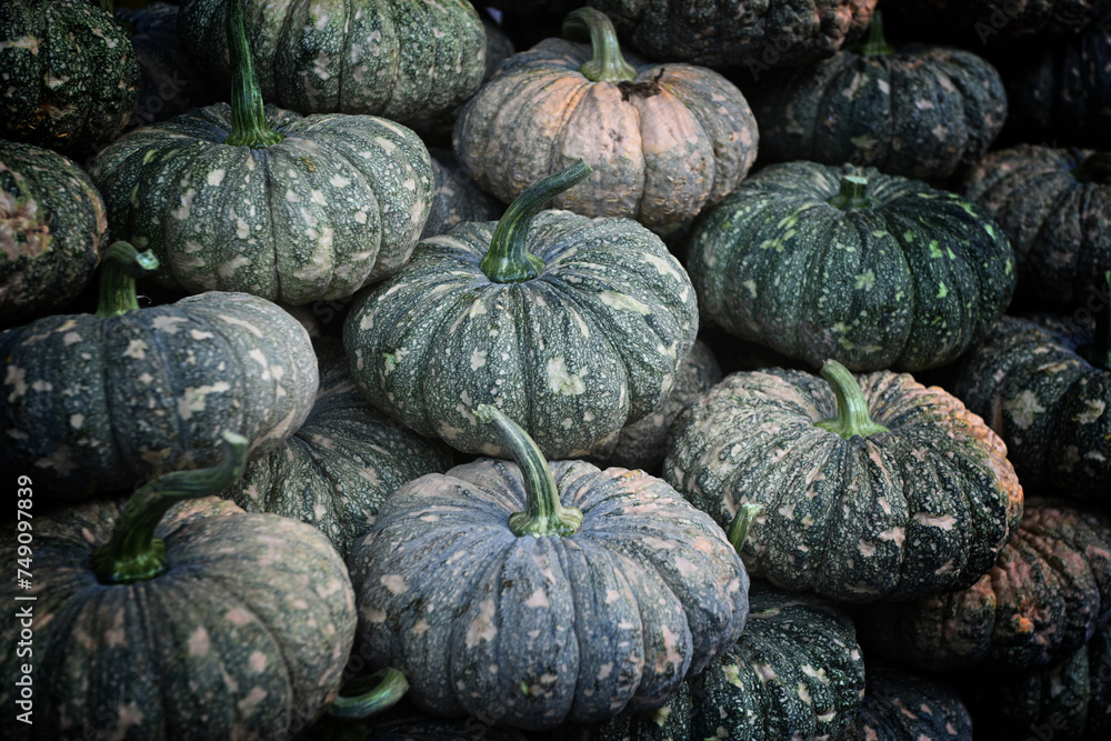 Close-up of the pile of pumpkins for sale at the market in Thailand. Close-up of the pile of pumpkins for sale at the market in Thailand.