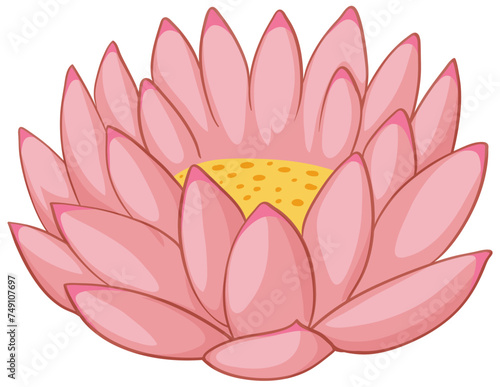 Vector illustration of a blooming pink lotus.