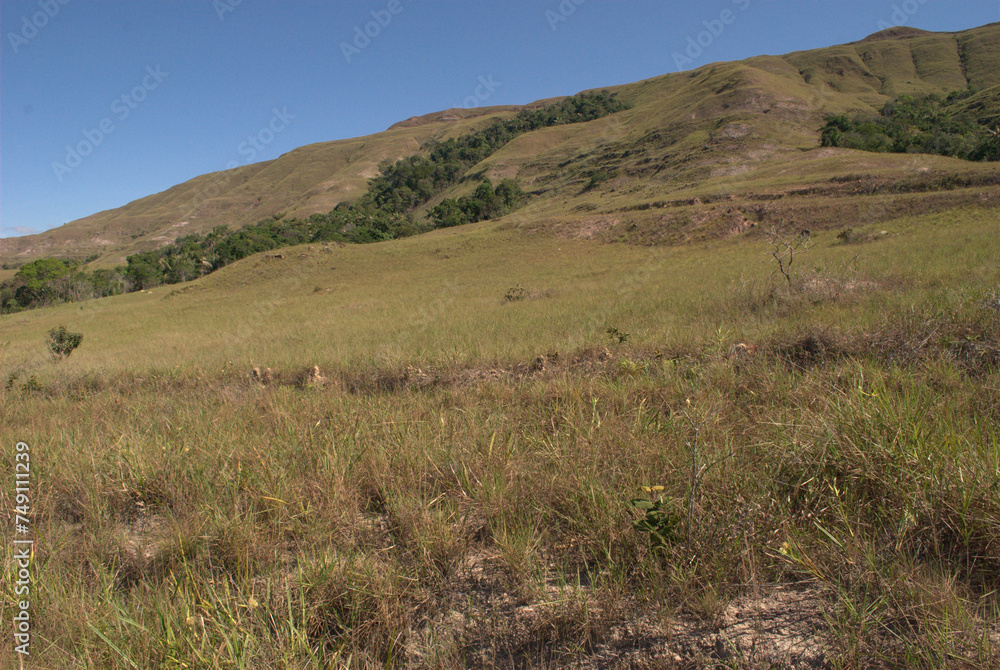La Gran Sabana,inmensa region llena de selva,Tepuyes y rios. La Gran Sabana,inmensa region llena de selva,Tepuyes y rios.