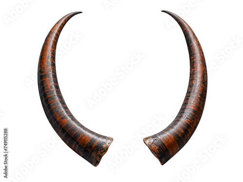 a pair of horns separated on a white background, displaying intricate details, age markings, and defense photo