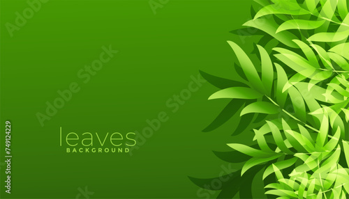 eco friendly herbal greenery leaves background design