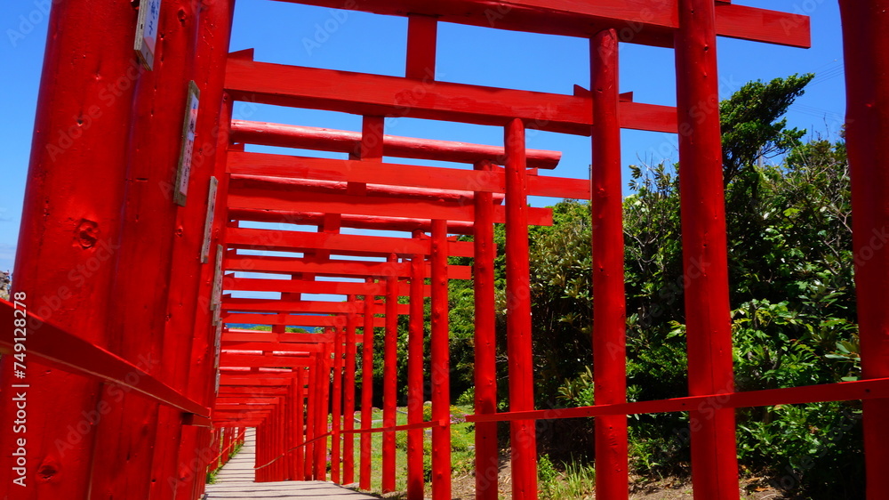 初夏の元乃隅神社 初夏の元乃隅神社