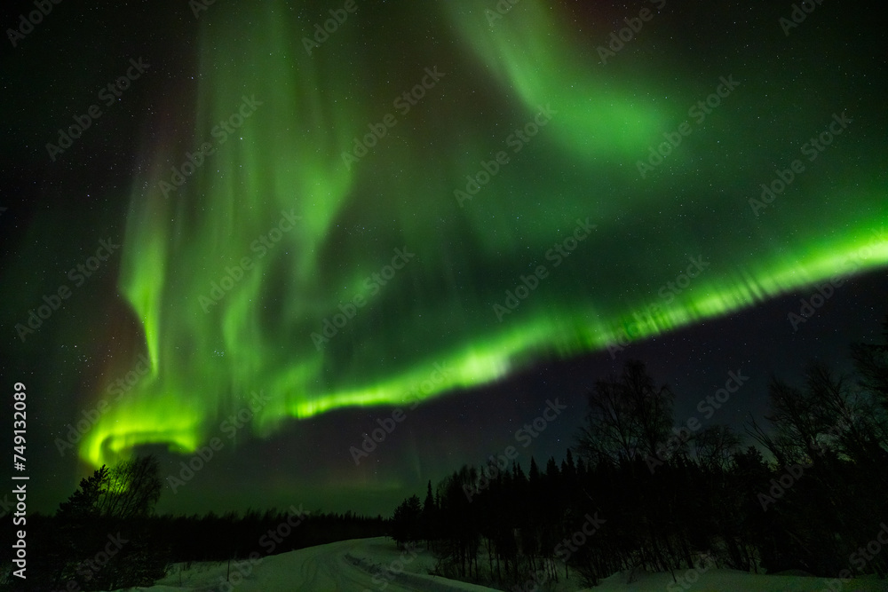 Colourful Northern Lights or Aurora Borealis in Lapland above the arctic circle in the north of Finland, around Pallas National Park