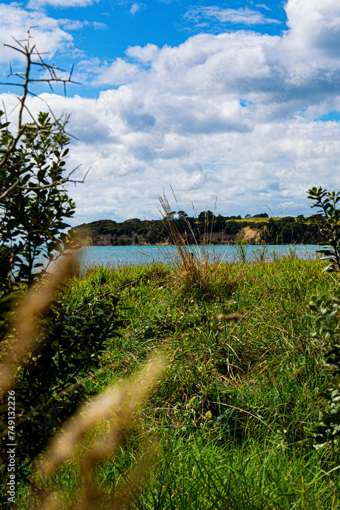Peninsula and ocean in the background with grass in the foreground Peninsula and ocean in the background with grass in the foreground