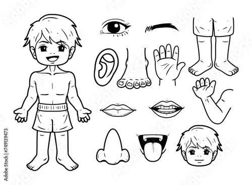Part of the human body vector outline sketch illustration set
