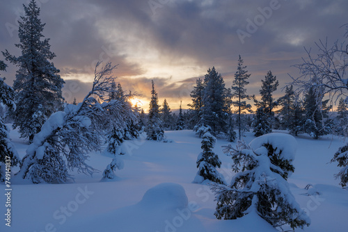 Romantic frozen forrest landscape in north Finland, above the arctic circle, in the Pallas-Yllästunturi National Park, around Muonio