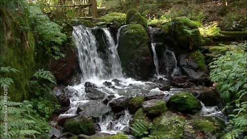福井県若狭にある瓜割の滝