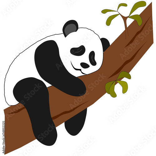 Sleeping panda on a tree