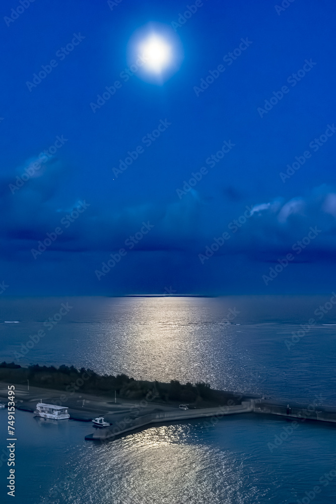 Obraz premium 海と月光