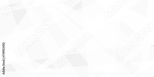 Abstract background with white and gray and geometric style with simple lines and corners, polygons as background geometric style with simple lines and corners, polygons as background paper texture	