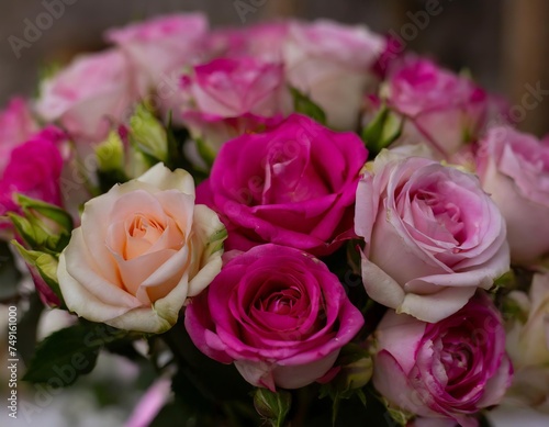 A captivating bouquet of roses  ranging various color in the play of light