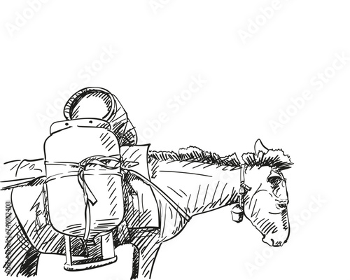 Mule carrying heavy gas cylinders on its back vector sketch, Hand drawn illustration of type of cargo transport widely used in himalayas, A heavily laden animal