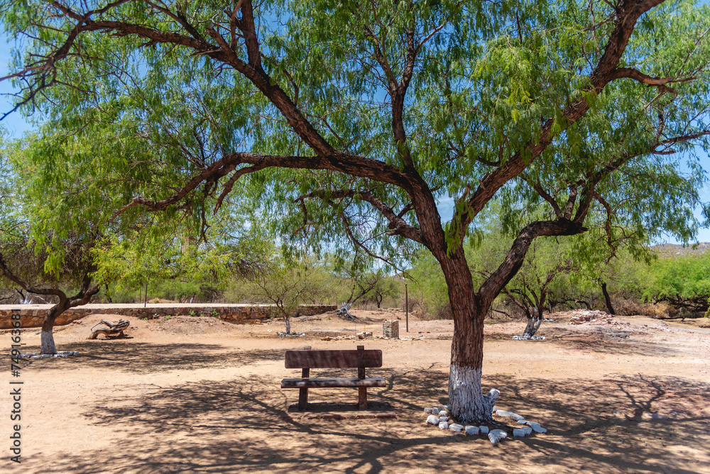 Beautiful scene at El Triunfo Ghost town in Baja California, Mexico