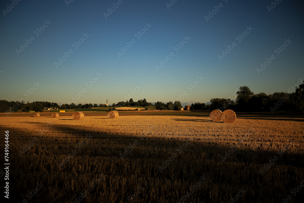 a stubble field with haybales at sunset