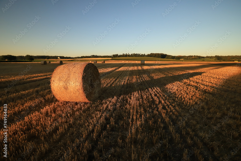 straw bales on a stubble field at sunset