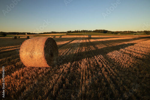 straw bales on a stubble field at sunset photo