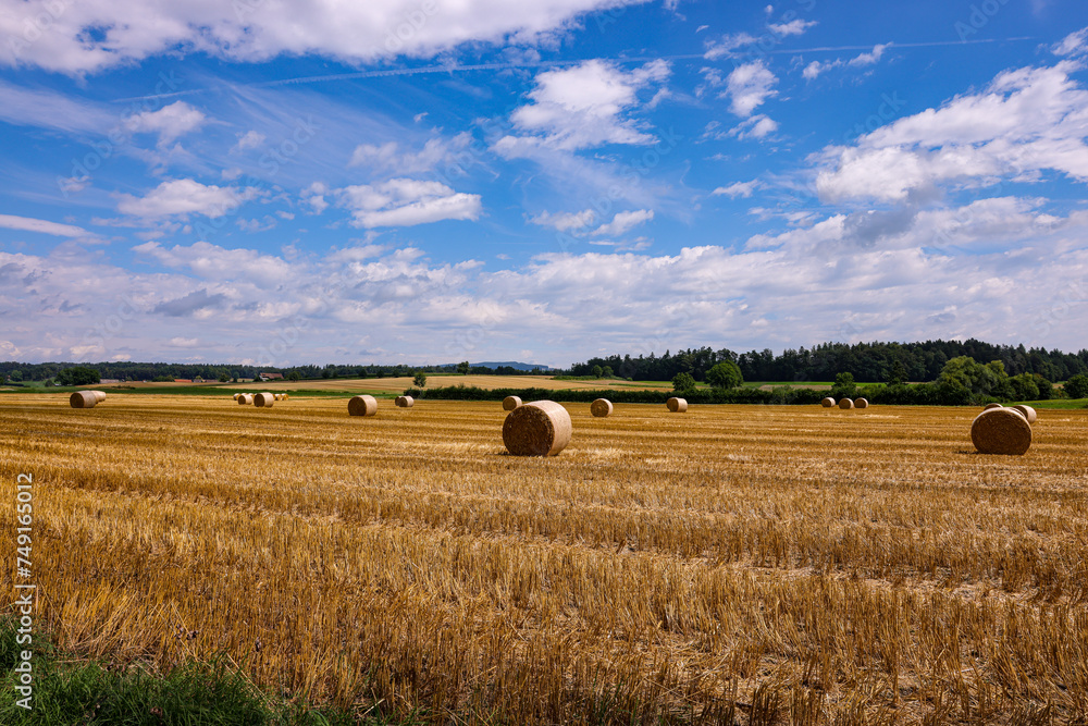stubble field with haybales in rural Switzerland
