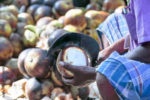 Indian farmer cuts and sells palmyra palm fruit at farmer's market	
 photo