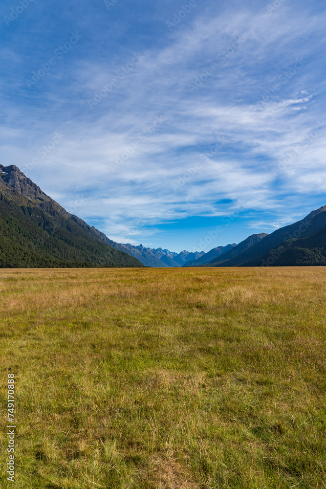 Fototapeta premium ニュージーランドのエグリントンバレー